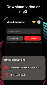 snaptik watermark